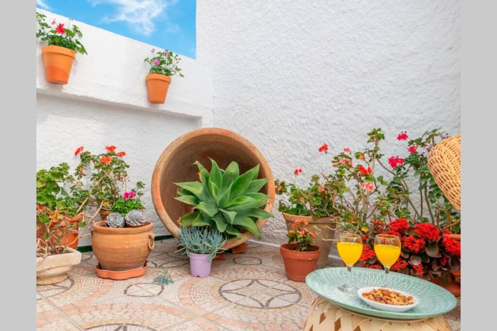 Villa Zalea Real -Super Ideal Grupos, Piscina ! بيزارا المظهر الخارجي الصورة